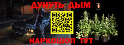 прущая мука Кимры